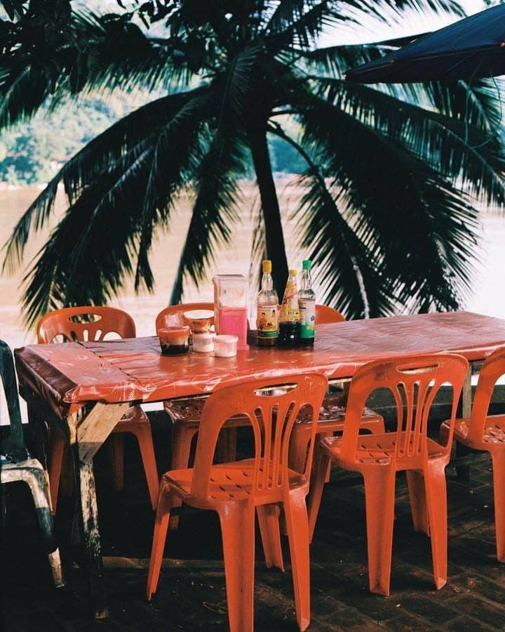 Orange plastic chairs around a red table with condiments under a large palm tree.