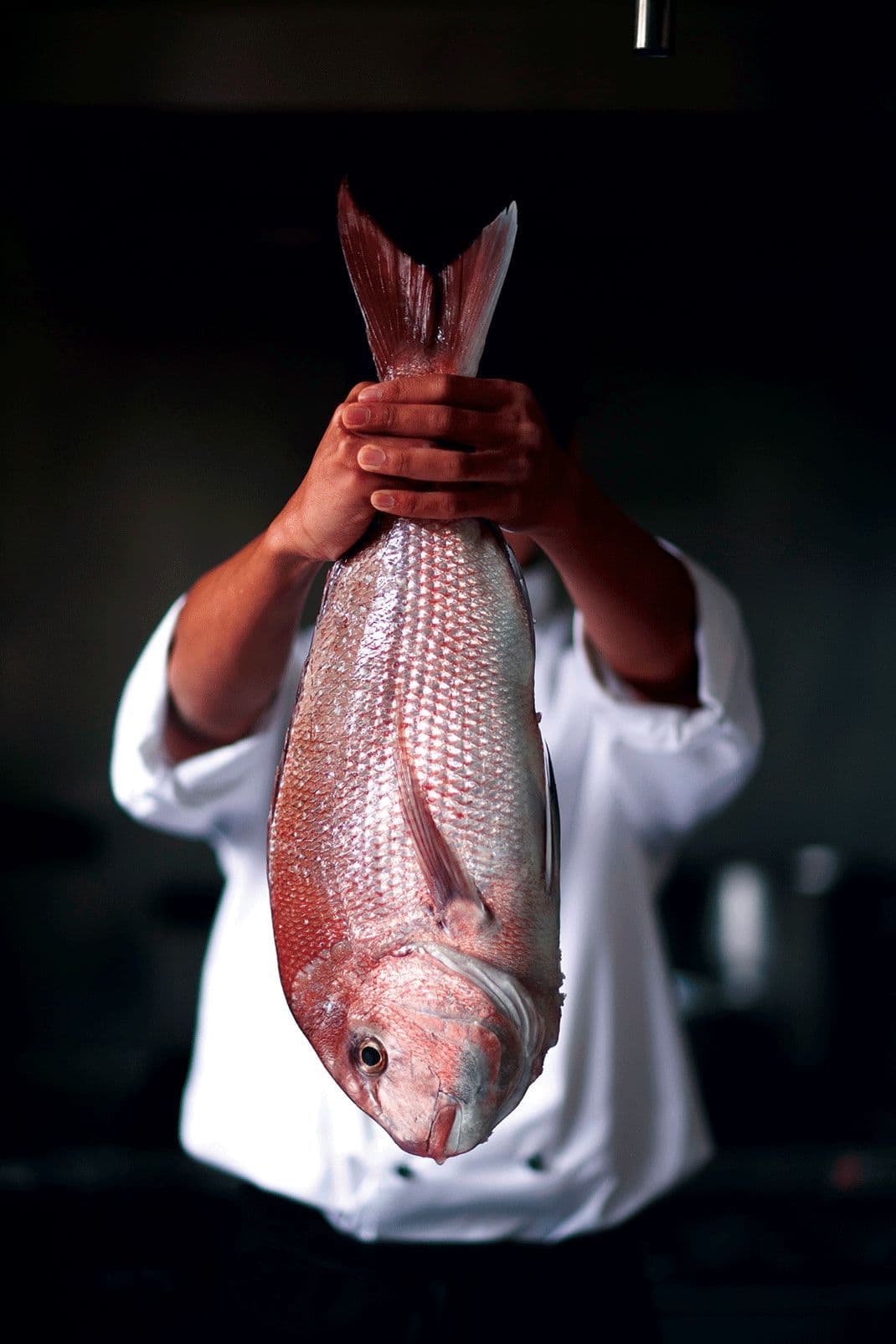 Chef in white coat holding a large, fresh red snapper fish by its tail.